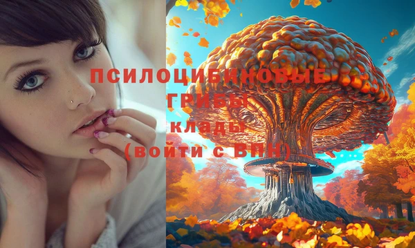 apvp Балахна