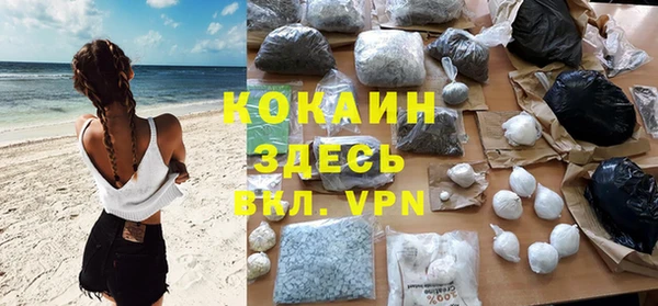 шишки Киренск