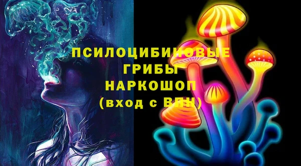 apvp Балахна